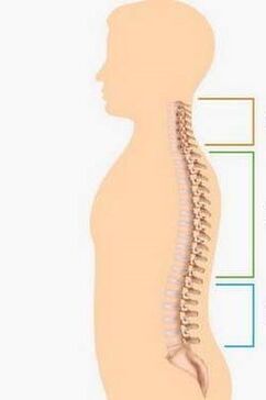 ដំបៅនៃជំងឺ osebochondrosis នៃផ្នែកផ្សេងគ្នានៃឆ្អឹងខ្នង